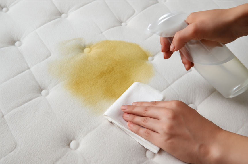 Why-is-it-so-difficult-to-remove-urine-from-a-mattress